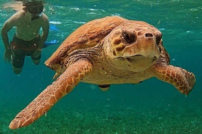 3-hour-guided-jet-ski-snorkeling-tour-on-san-pedro-barrier-reef