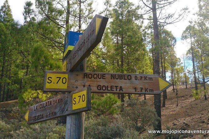 3-hour-hiking-experience-in-roque-nublo-2