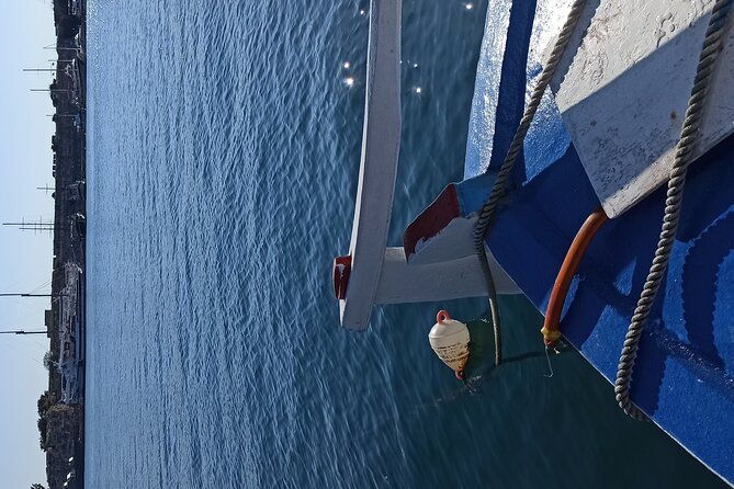 3-hour-kos-island-fishing-trip-with-greek-family-2