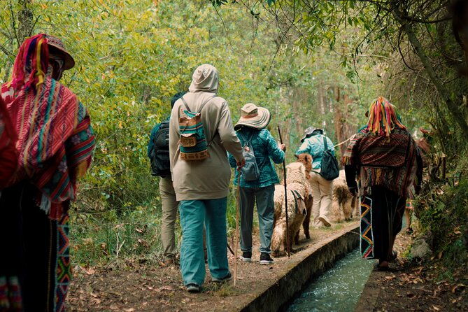 3-hour-small-group-hiking-with-alpaca-in-sacred-valley