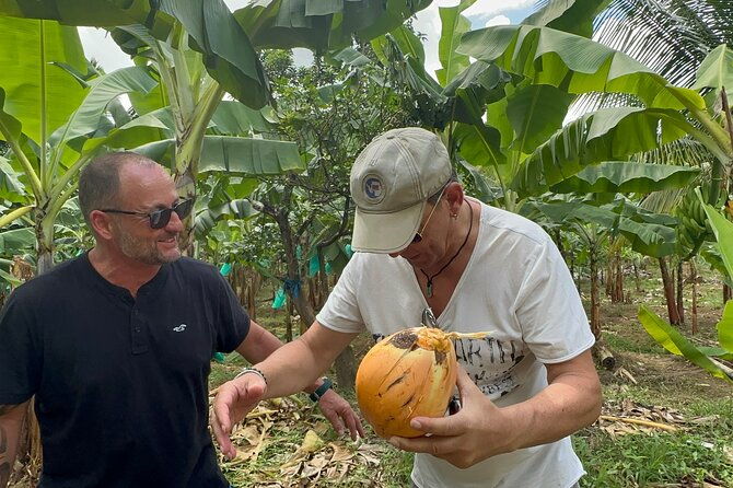 3-hour-st-lucia-island-tour-with-zero-entry-free