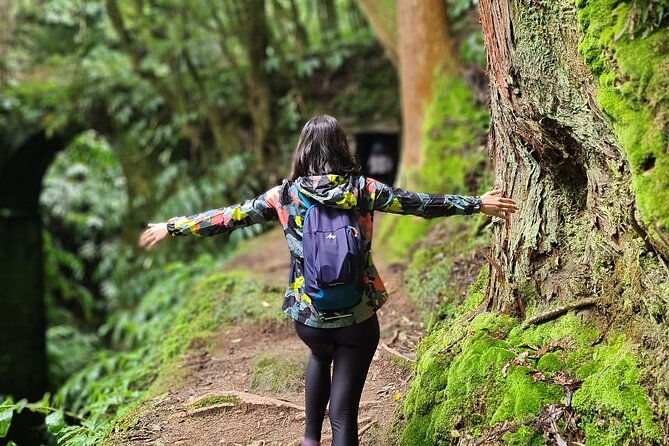 3-hours-guided-forest-bathing-hike-in-portugal