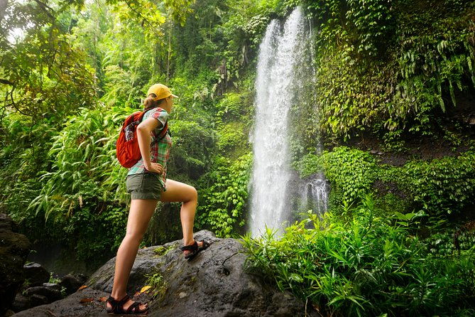3-in-1-eco-tour-rain-forest-aerial-tram-river-cruise-nature-walk-private-tour