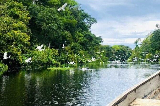 4-day-private-wild-amazon-adventure-tour