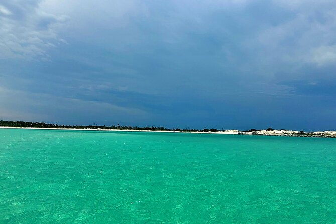 4-hour-eco-dolphin-tour-in-panama
