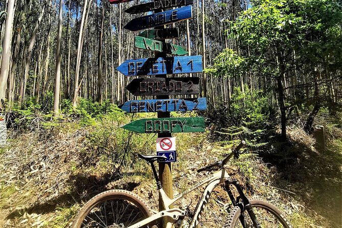 4-hour-private-mtb-enduro-trail-tour-in-sintra-mountain-2