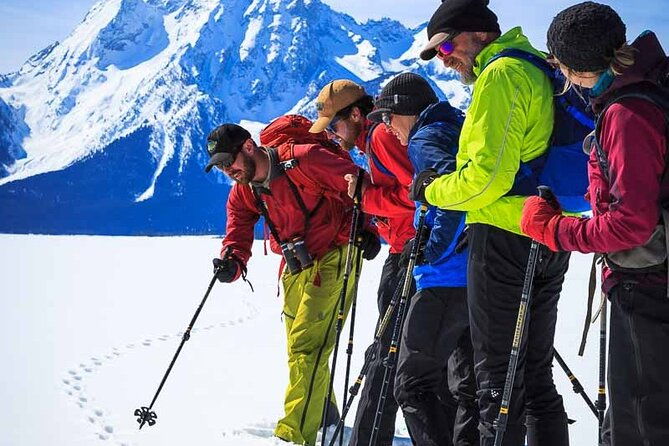 4-hour-snowshoe-in-grand-teton-national-park
