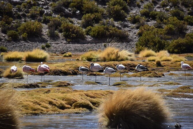 4-tours-in-2-days-in-san-pedro-de-atacama