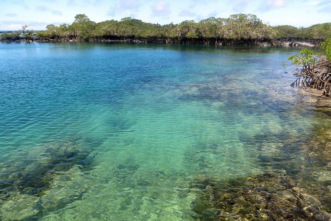 5-day-all-inclusive-galapagos-isabela-and-santa-cruz-island