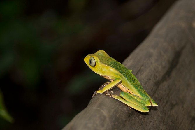 5-day-amazon-camping-and-kayaking-discover-yasuni