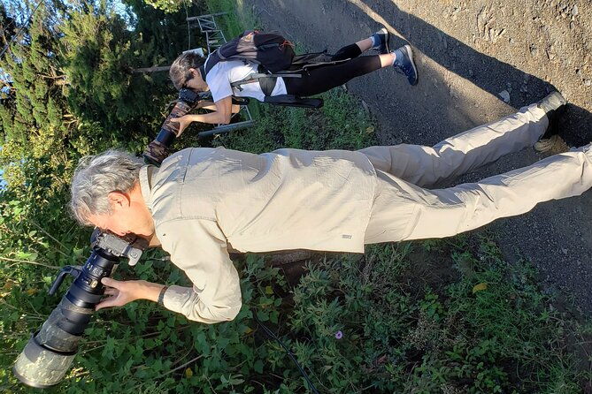 5-hour-birdwatching-and-photography-tour-in-monteverde