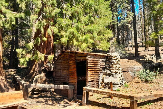 5-star-rated-sequoia-national-park-tour-2