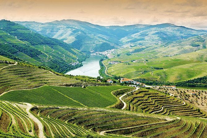 6-day-north-portugal-tour-porto-braga-fatima-coimbra-guimaraes-aveiro-and-batalha-from-lisbon