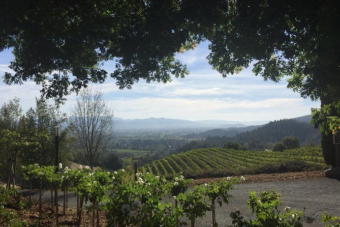 6-hour-private-wine-country-tour-of-napa-valley-up-to-6-people-in-large-suv