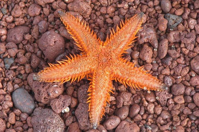 7-days-diving-and-hiking-on-the-galapagos-islands-tour