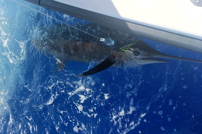 8-hour-private-fishing-charter-in-kailua-kona-hawaii