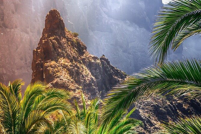 8-hour-rental-in-a-luxury-car-and-driver-official-private-guide-in-tenerife