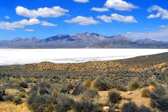 8-hours-tour-in-arequipa-laguna-de-salinas-with-pick-up