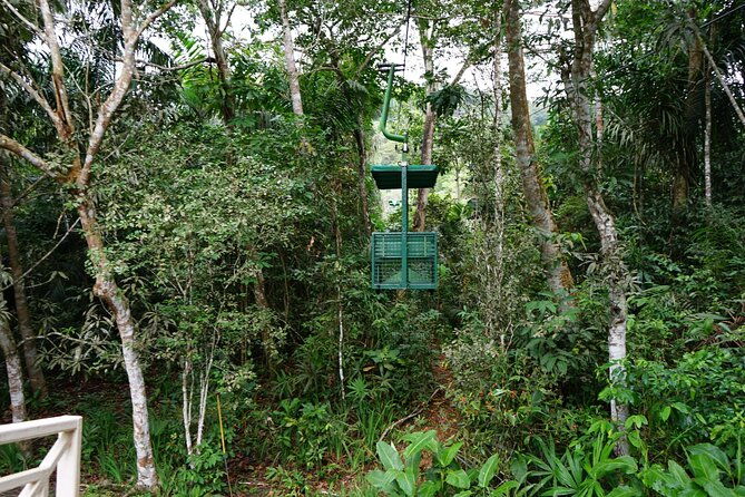 a-day-with-nature-boat-trip-on-gatun-lake-and-the-aerial-tram