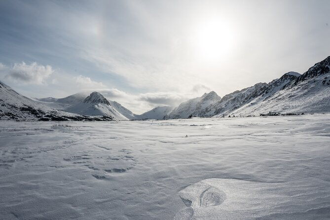 advanced-snowshoeing-adventure