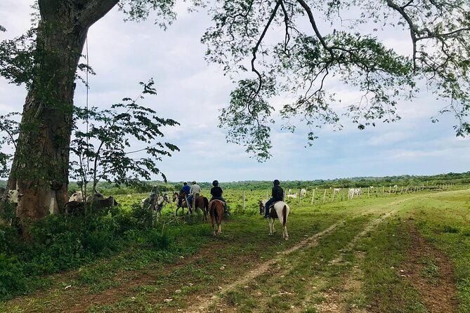adventure-sun-set-horse-ride