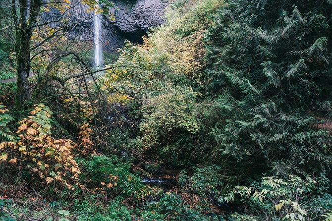 afternoon-multnomah-falls-and-gorge-waterfalls-tour
