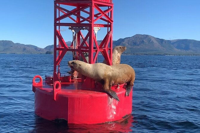 alaska-marine-fast-boat-adventure
