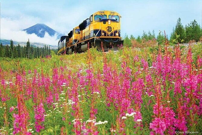 alaska-railroad-fairbanks-to-denali-one-way-2
