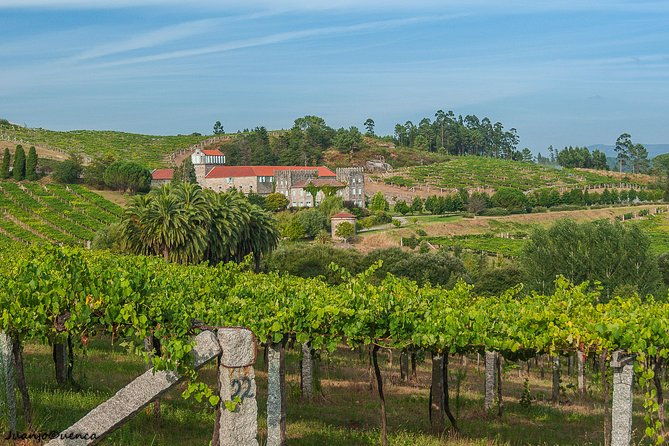 albarino-private-wine-tour-from-santiago-de-compostela