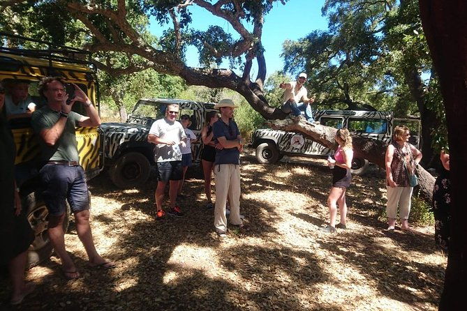albufeira-jeep-safari-full-day-private-tour