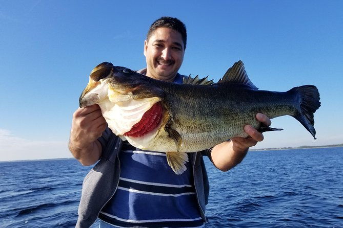 all-day-lake-toho-fishing-trip-near-kissimmee