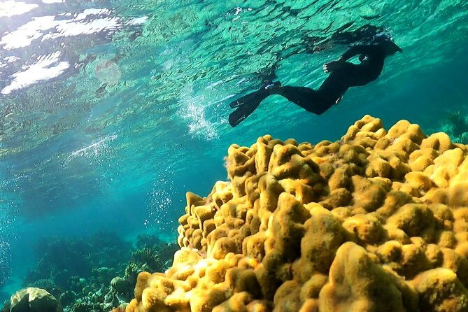 all-inclusive-day-trip-from-nassau-to-andros-bahamas