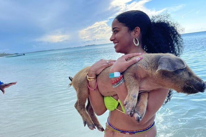 all-inclusive-pig-encounter-snorkeling-turtles-lunch-beach