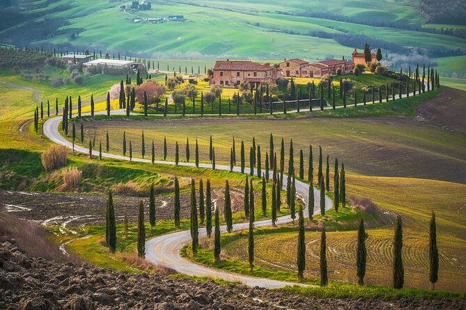 all-tuscany-private-siena-san-gimignano-chianti-livorno-shore-excursion-2
