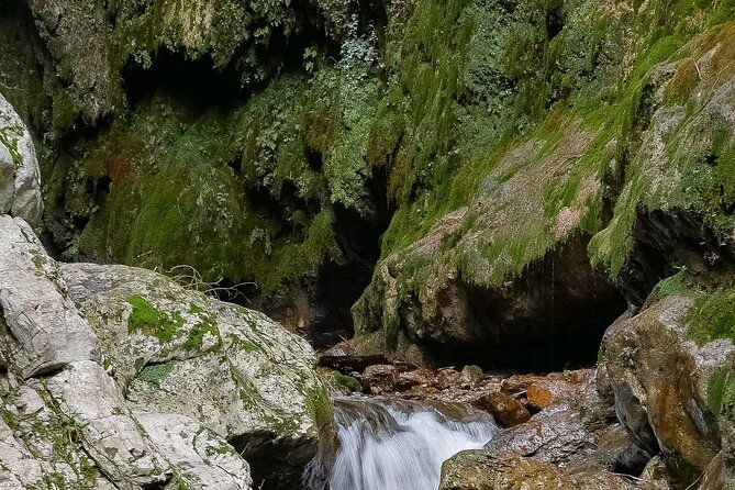amalfi-hiking-in-ferriere-valley-nature-reserve-private-tour