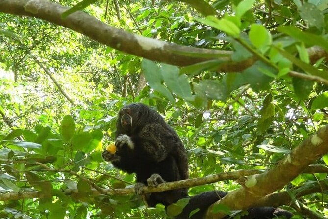amazing-jungle-3days-2nights-amazon-wonder-expeditions