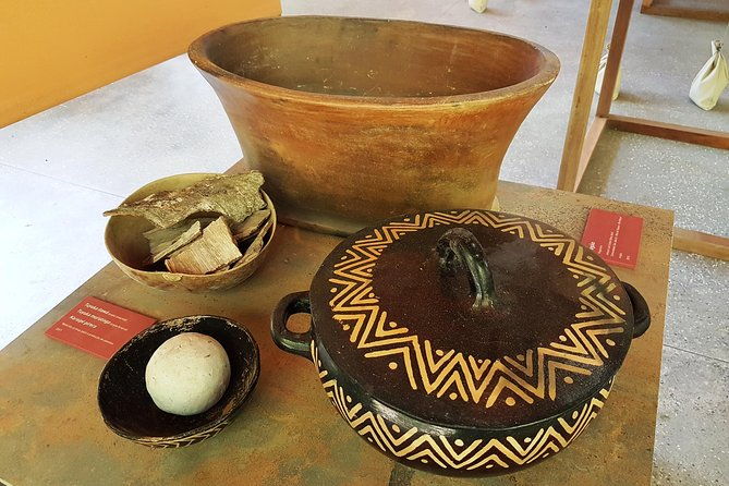 amazon-natural-museums-combo-inpa-and-musa