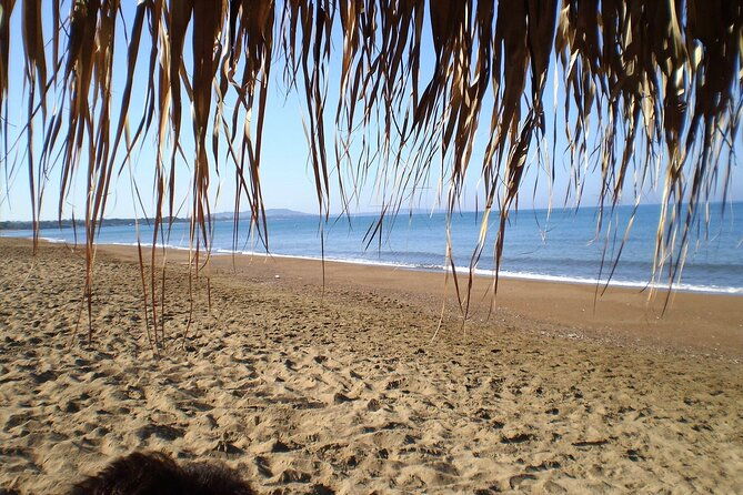 ancient-olympia-kourouta-beach-all-included-tour