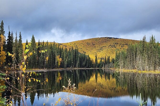 angel-rocks-hike-and-chena-hot-springs-soak-guided-tour