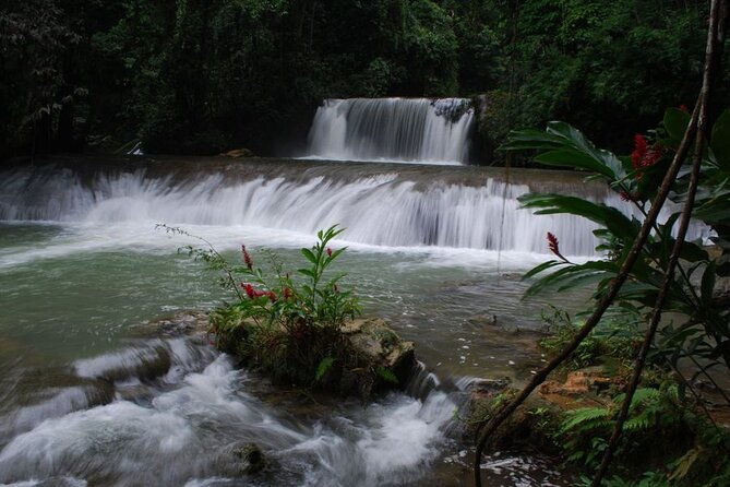 appleton-estate-admission-rum-tasting-including-ys-falls-visit