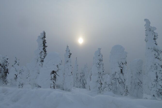 arctic-circle-aurora-drive-adventure-2