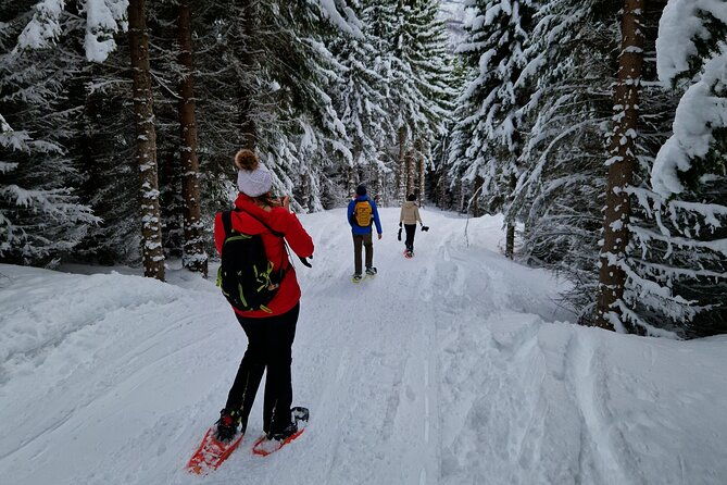 arctic-snowshoe-hike-in-norway
