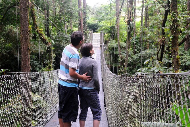 arenal-observatory-lodge-trails