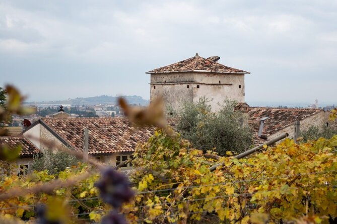 art-wine-experience-in-valpolicella-at-palazzo-montanari