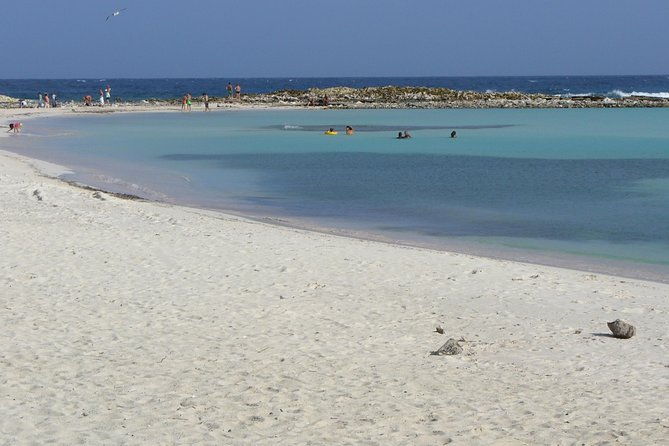 aruba-mangel-halto-and-baby-beach-snorkeling-guided-tour