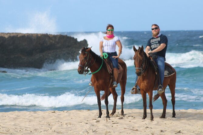aruba-north-coastline-small-group-horseback-riding-tour