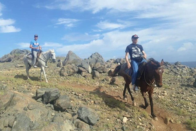 aruba-private-2-hour-horseback-riding-tour-for-advanced-riders