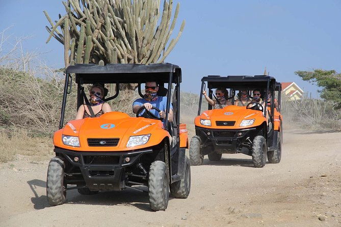 aruba-utv-tour-with-natural-cave-pool-and-cliff-jumping