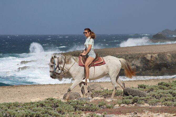 arubas-northern-coast-horseback-adventure
