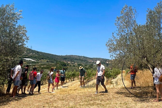 athens-to-nemea-wine-experience-tour